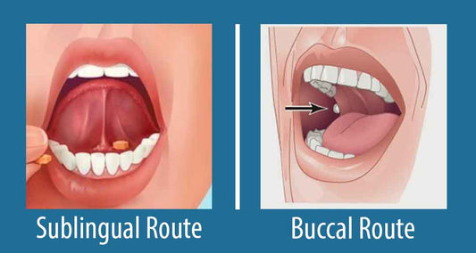 Want to Absorb More CBD? Put it Under Your Tongue!