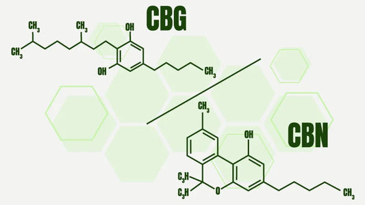 Exploring the Differences: CBG vs CBN