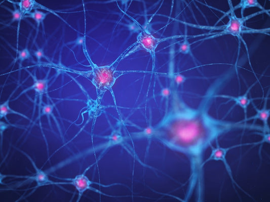 Combining Cannabinoids – The Benefits of Using CBD and CBG Together
