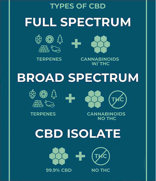 Full Spectrum CBD vs CBD Isolate: What's the difference?