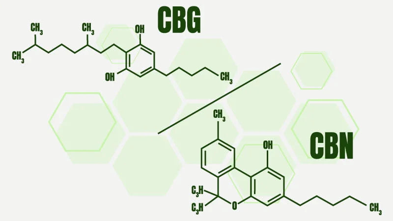 Exploring the Differences: CBG vs CBN – Kine Industries LLC