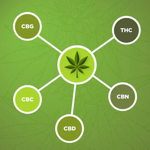 CBD Isolate vs. Broad Spectrum: What Does It Mean for You?