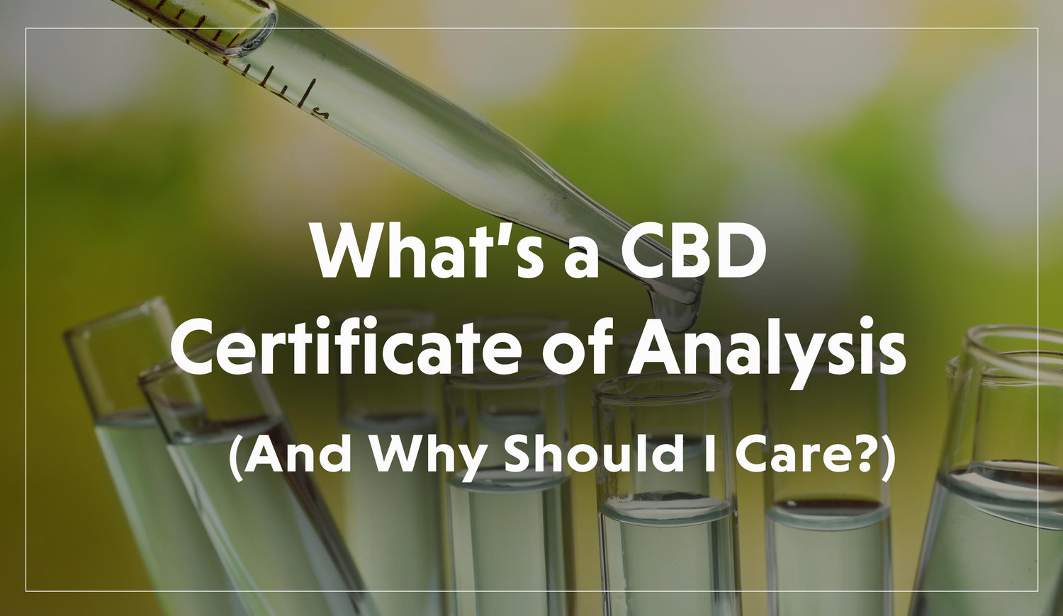 What is a CBD Certificate of Analysis (And Why Should I Care)? – Kine ...
