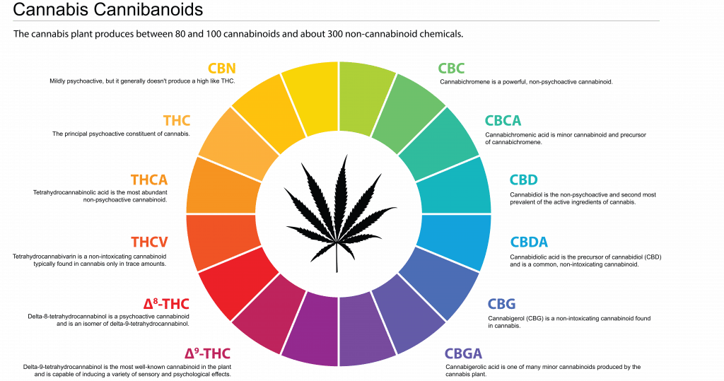 There Are Over 100 Different Cannabinoids...Let's Talk About a Few of ...