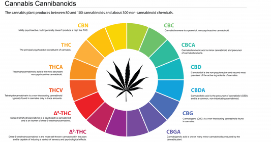 There Are Over 100 Different Cannabinoids...Let's Talk About a Few of the Major Ones