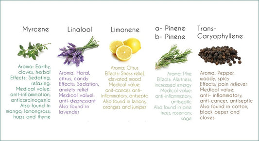 List of natural ingredients and oils Kine uses in their products