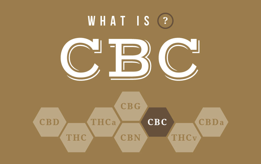 CBC Vs CBD: What Is CBC And How Is It Different From CBD? | Kine ...